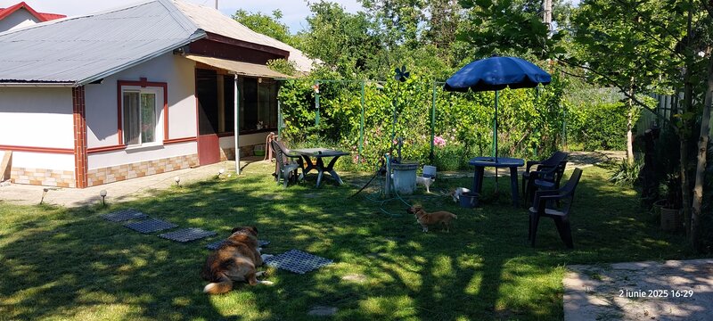 Gorneni, GR, casa la sosea langa Bucuresti pe DN6/E70 1.600 mp
